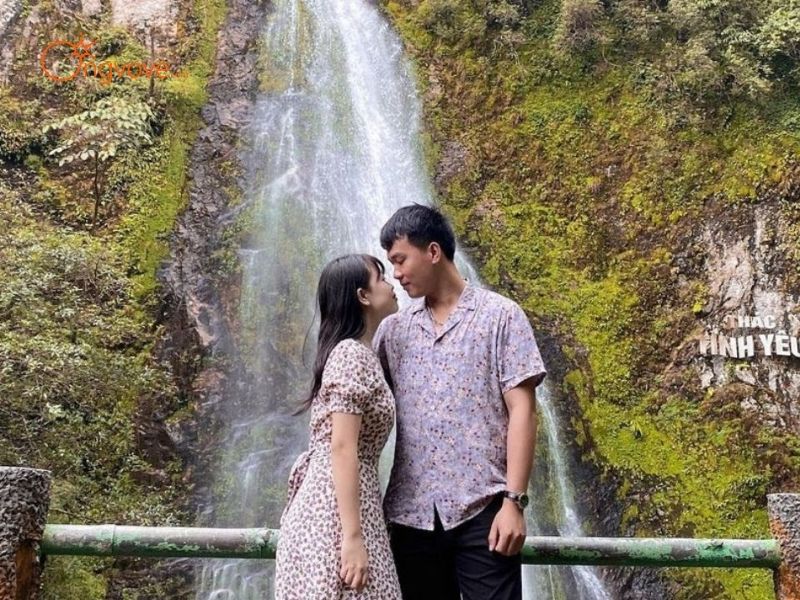Người dẫn đường Thác Tình Yêu