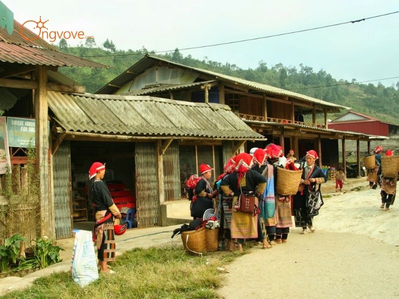 Những Tiêu Chí Cần Lưu Ý Khi Tìm hướng dẫn viên Tả Phìn