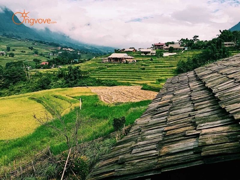 Những Tiêu Chí Cần Lưu Ý Khi Tìm hướng dẫn viên Tả Van