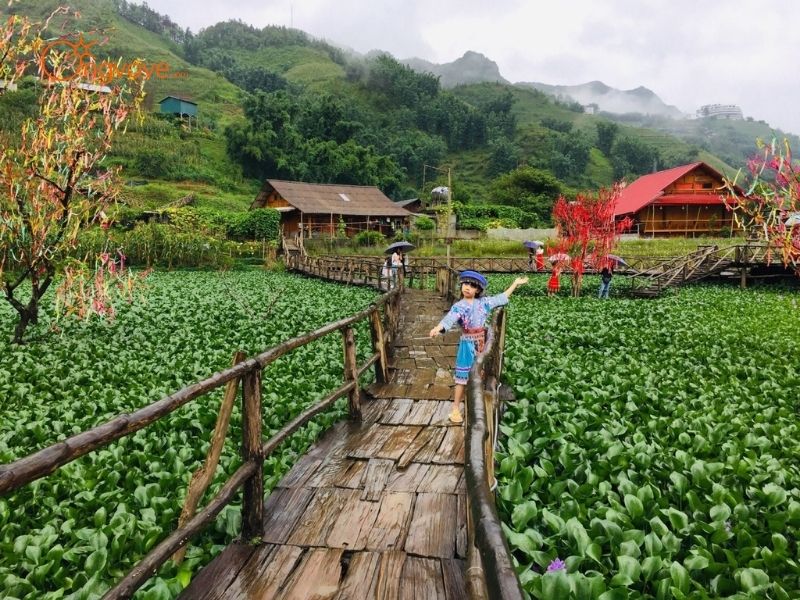 Những Tiêu Chí Cần Lưu Ý Khi Tìm hướng dẫn viên Tả Van