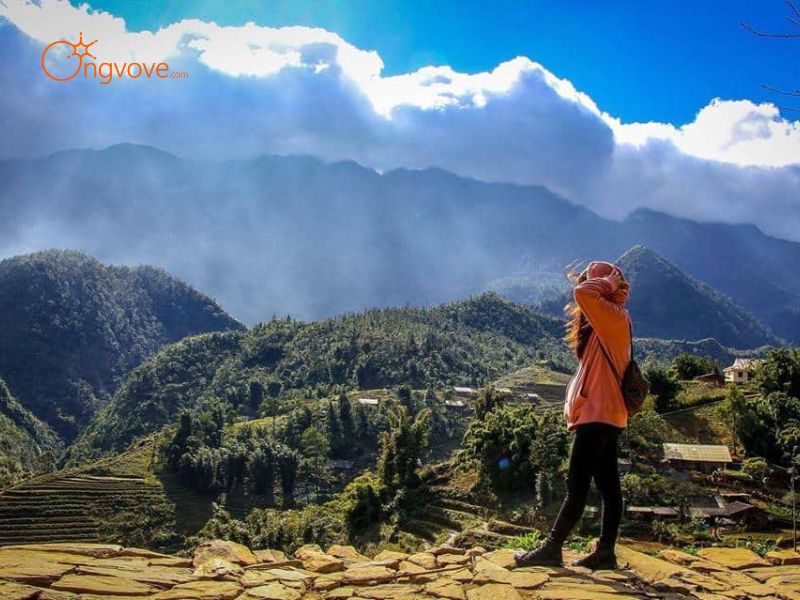 Thuê hướng dẫn viên đi Bản Tả Phìn Sa Pa Trên Nền Tảng Ong Vò Vẽ Travel