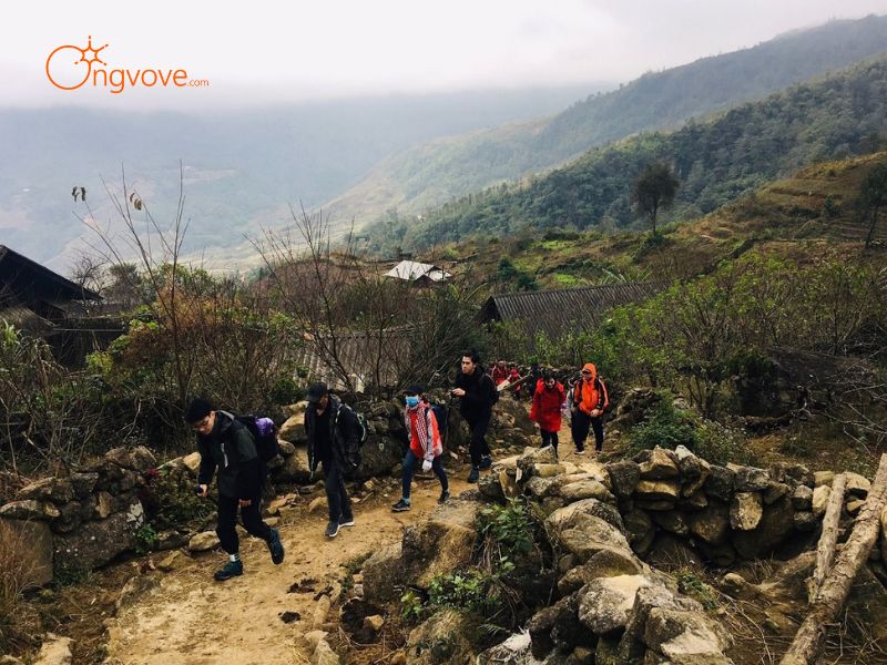 Thuê hướng dẫn viên đi Đỉnh Nhìu Cồ San Sa Pa Trên Nền Tảng Ong Vò Vẽ Travel