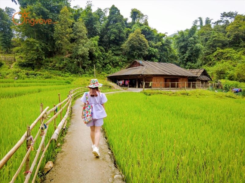 Thuê người dẫn đường ở Lao Chải