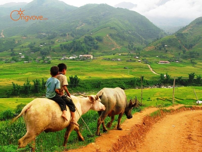 Thuê người dẫn đường ở Tả Van