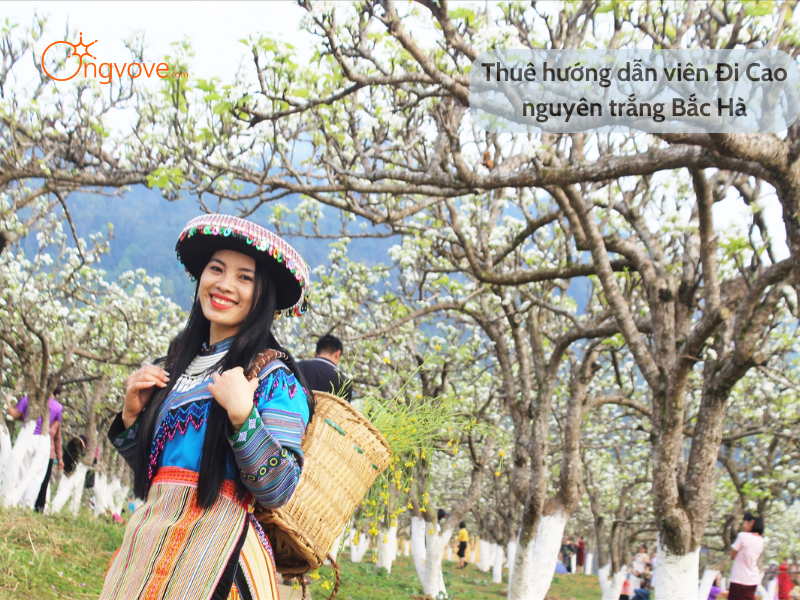 Thuê hướng dẫn viên Đi Cao nguyên trắng Bắc Hà