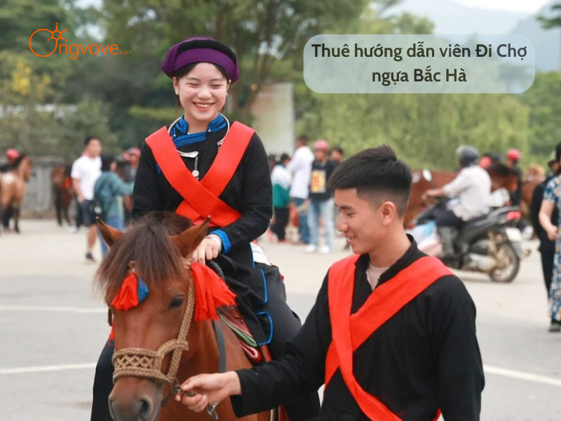 Thuê hướng dẫn viên Đi Chợ ngựa Bắc Hà