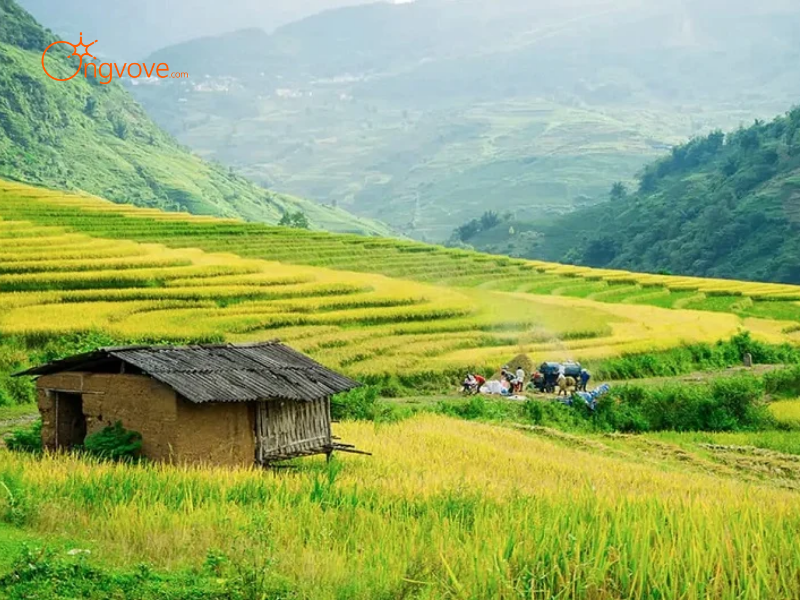 Lợi Ích Khi Thuê Hướng dẫn viên tại Bản A Lù Y Tý