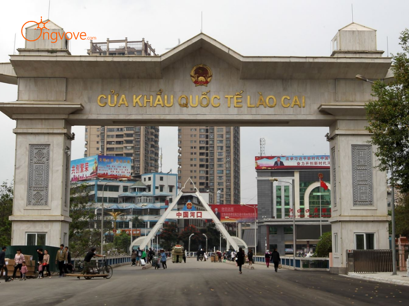 Những Tiêu Chí Cần Lưu Ý Khi Thuê Hướng dẫn viên Trekking Y Tý
