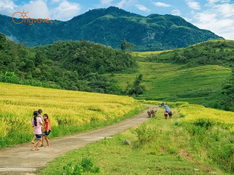 Tại Sao Cần Thuê Hướng dẫn viên tại Bản A Lù Y Tý?