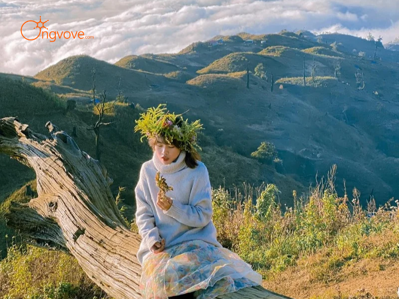 Thuê Hướng dẫn viên tại Bản A Lù Y Tý Trên Nền Tảng Ong Vò Vẽ Travel