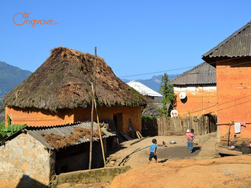 Thuê Hướng dẫn viên tại Các bản làng người Mông ở Y Tý Trên Nền Tảng Ong Vò Vẽ Travel