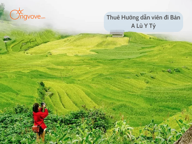 Thuê Hướng dẫn viên đi Bản A Lù Y Tý