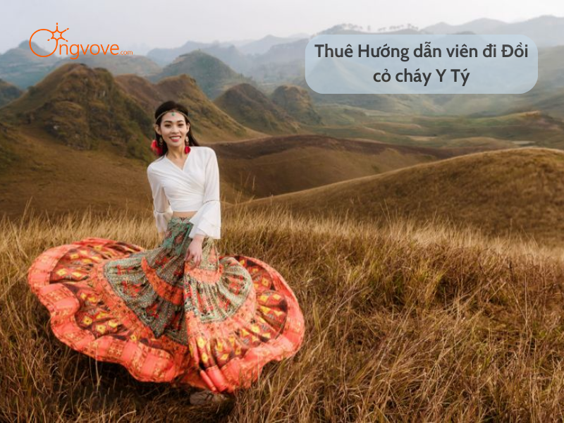 Thuê hướng dẫn viên đi Đồi cỏ cháy Y Tý