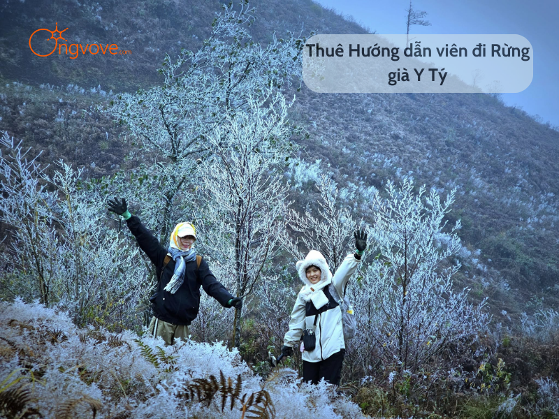 Thuê Hướng dẫn viên đi Rừng già Y Tý