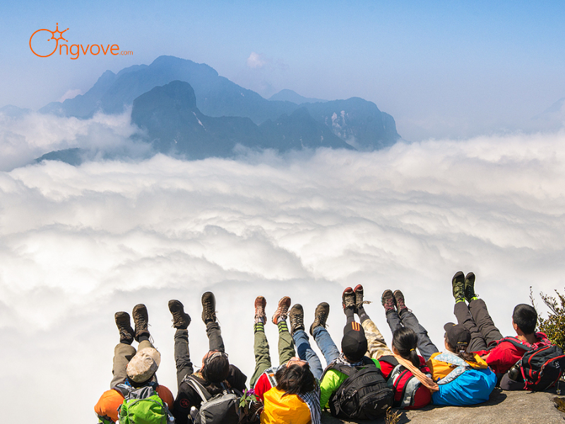 Thuê Hướng dẫn viên tại Ngải Thượng Thượng Y Tý Trên Nền Tảng Ong Vò Vẽ Travel