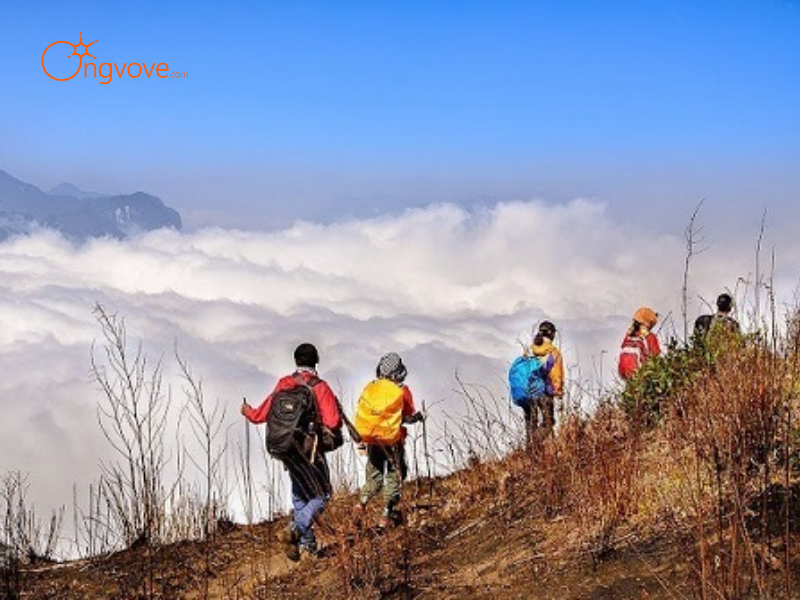 Thuê Hướng dẫn viên tại Núi Lảo Thẩn Y Tý Trên Nền Tảng Ong Vò Vẽ Travel