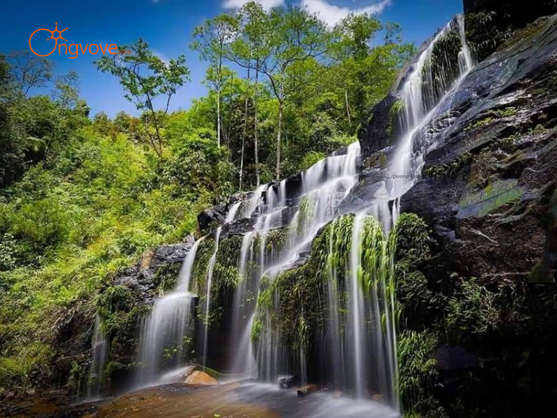 Thuê Hướng dẫn viên tại Thác Xanh Y Tý Trên Nền Tảng Ong Vò Vẽ Travel