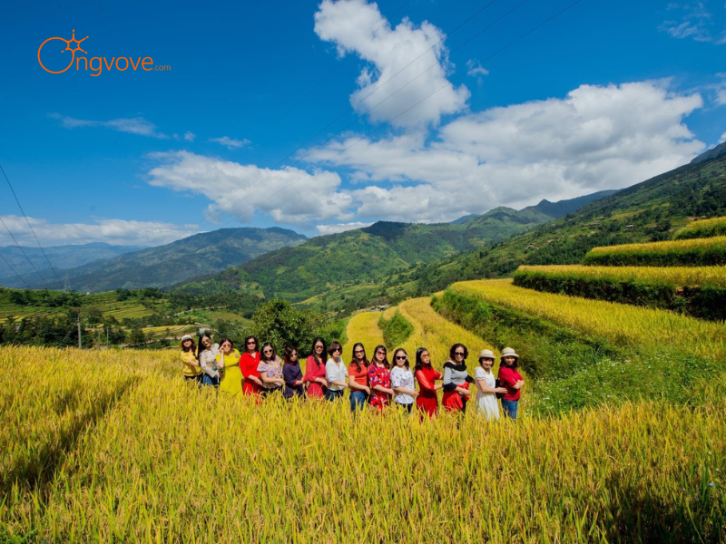 Những Tiêu Chí Cần Lưu Ý Khi Thuê Hướng dẫn viên tại Các hoạt động nông nghiệp truyền thống của người dân Si Ma Cai