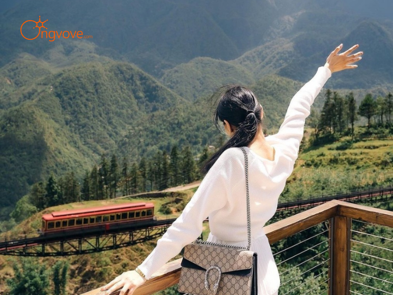 Lợi Ích Khi Thuê Hướng dẫn viên tại Các quán cà phê view đẹp Lào Cai