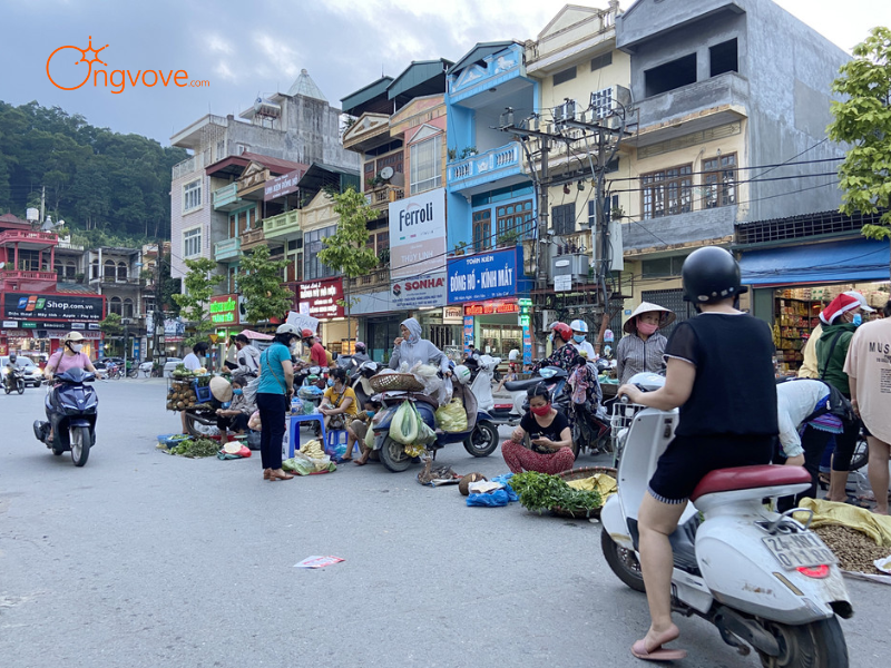 Các Loại Hình Thuê Hướng dẫn viên tại Chợ Kim Tân Lào Cai