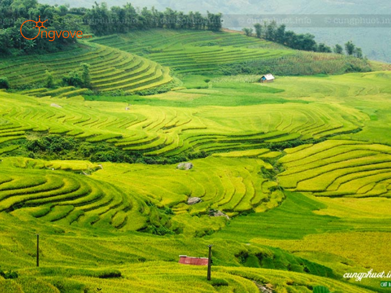 Lợi Ích Khi Thuê Hướng dẫn viên tại Khu du lịch sinh thái Bản Xèo Lào Cai
