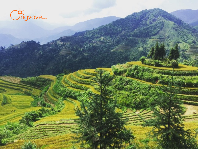 Các Loại Hình Thuê Hướng dẫn viên tại Các hoạt động nông nghiệp truyền thống của người dân Si Ma Cai