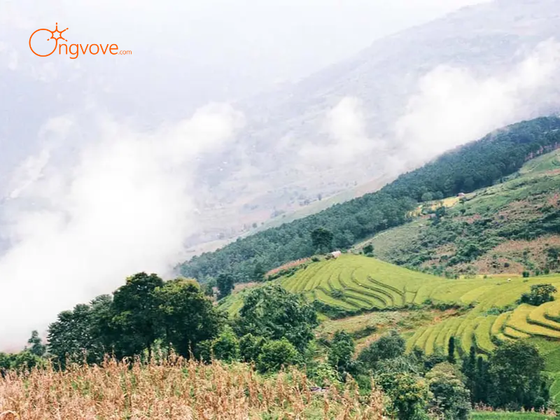 Những Tiêu Chí Cần Lưu Ý Khi Thuê Hướng dẫn viên tại Cao nguyên Si Ma Cai