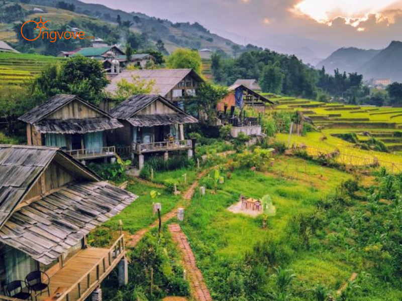 Tại Sao Cần Thuê Hướng dẫn viên tại Homestay tại các bản làng Bát Xát?