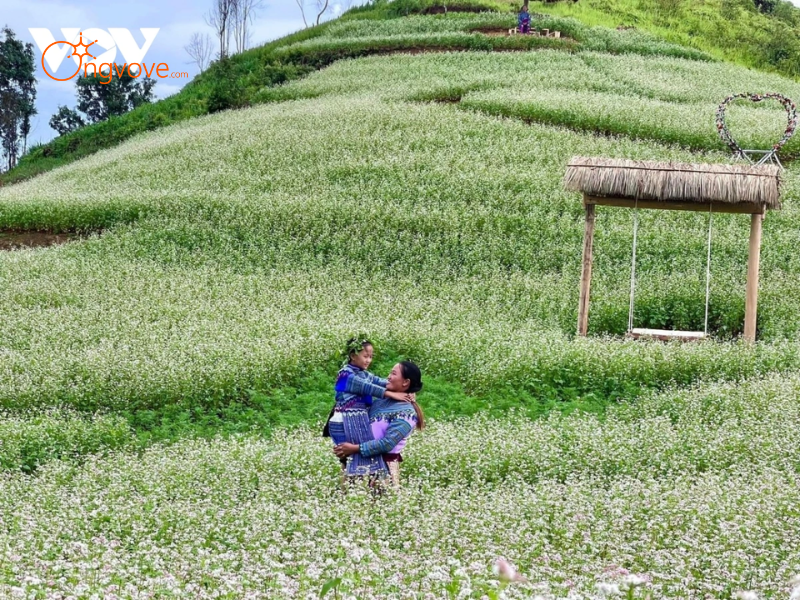 Tại Sao Cần Thuê Hướng dẫn viên tại Thung lũng hoa tam giác mạch Si Ma Cai?