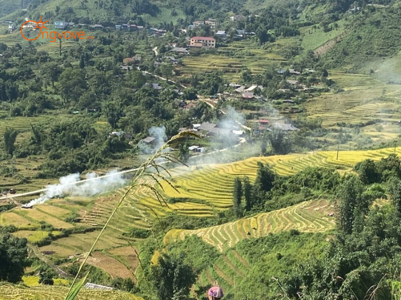 Các Loại Hình Thuê Hướng dẫn viên tại Bản Khoang Lào Cai