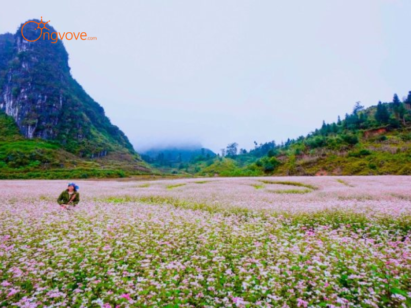 Những Tiêu Chí Cần Lưu Ý Khi Thuê Hướng dẫn viên tại Si Ma Cai