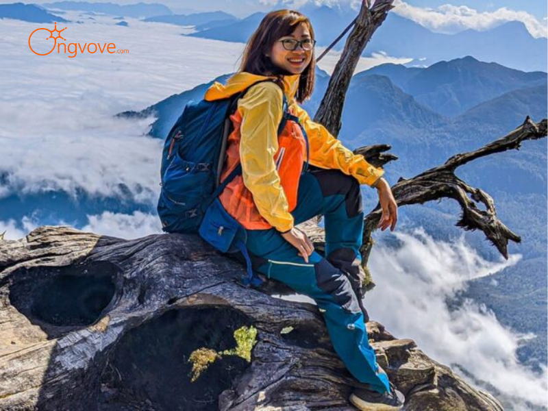 Các Loại Hình Thuê Hướng dẫn viên tại Tham gia Trekking và leo núi ở các khu vực khác nhau Lào Cai