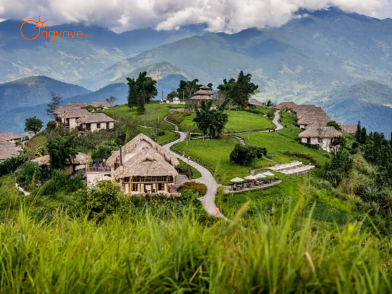 Lợi Ích Khi Thuê Hướng dẫn viên tại Lâm Viên Thủy Hoa (Võ Lao) Lào Cai