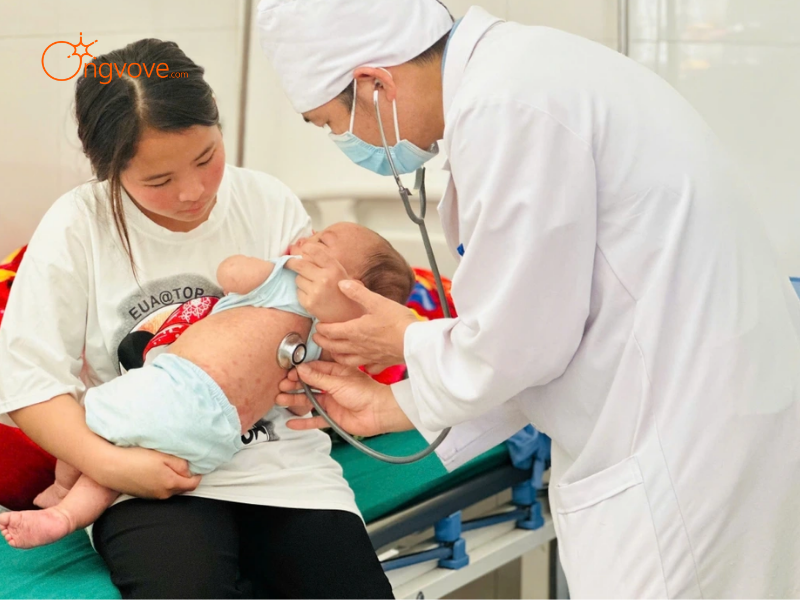 Lợi Ích Khi Thuê Hướng dẫn viên tại Tham quan các trường học và trạm y tế vùng cao Lào Cai