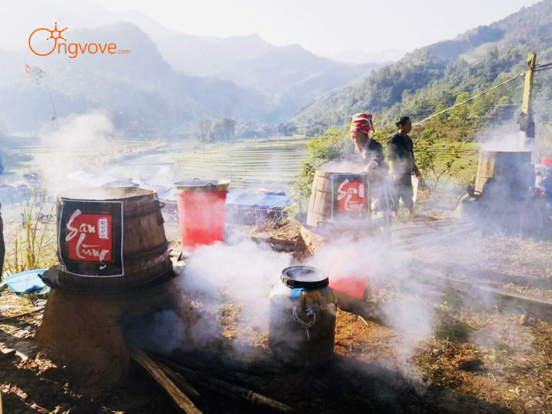 Những Tiêu Chí Cần Lưu Ý Khi Thuê Hướng dẫn viên tại Đi Tham quan các cơ sở sản xuất rượu truyền thống Lào Cai