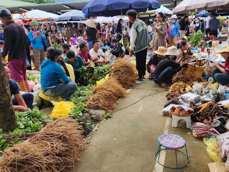 Tại Sao Cần Thuê Hướng dẫn viên tại Các hoạt động nông nghiệp truyền thống của người dân Si Ma Cai?
