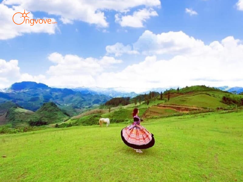 Tại Sao Cần Thuê Hướng dẫn viên tại Đi Ngắm bình minh và hoàng hôn trên các đỉnh núi và thung lũng Lào Cai?