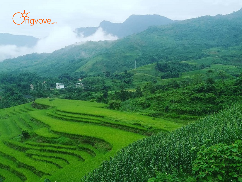 Tại Sao Cần Thuê Hướng dẫn viên tại Văn Bàn Lào Cai?