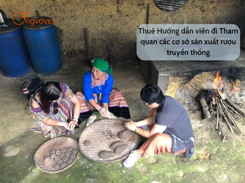 Thuê Hướng dẫn viên đi Tham quan cơ sở sản xuất rượu truyền thống Lào Cai