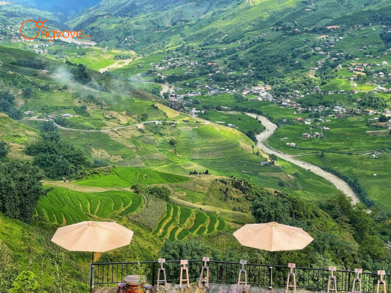 Thuê Hướng dẫn viên tại Đi Ngắm bình minh và hoàng hôn trên các đỉnh núi và thung lũng Lào Cai Trên Nền Tảng Ong Vò Vẽ Travel