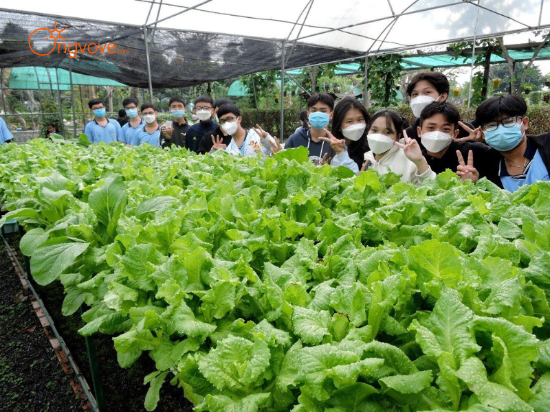 Thuê Hướng dẫn viên tại Đi Tham quan các trang trại trồng rau và hoa công nghệ cao Lào Cai Trên Nền Tảng Ong Vò Vẽ Travel