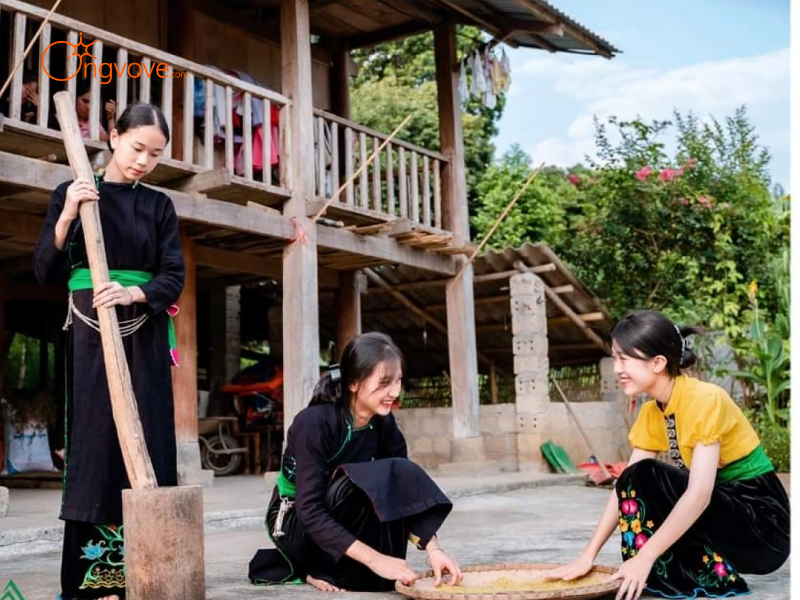 Thuê Hướng dẫn viên tại Văn Bàn Lào Cai Trên Nền Tảng Ong Vò Vẽ Travel