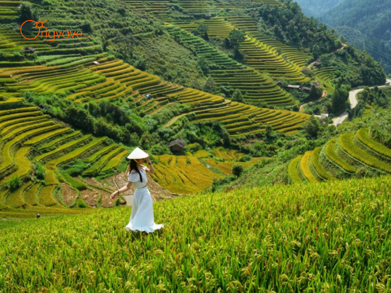 Các Loại Hình Thuê Hướng dẫn viên tại Thôn Dần Thàng Văn Bàn Lào Cai