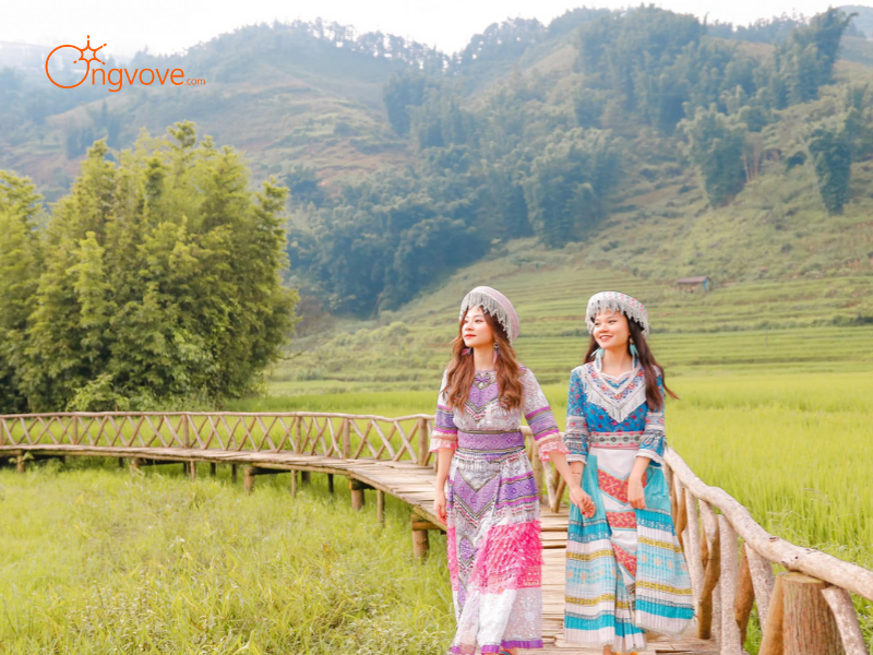 Lợi Ích Khi Thuê Hướng dẫn viên tại Tìm hiểu về lịch sử và văn hóa của các dân tộc thiểu số Lào Cai