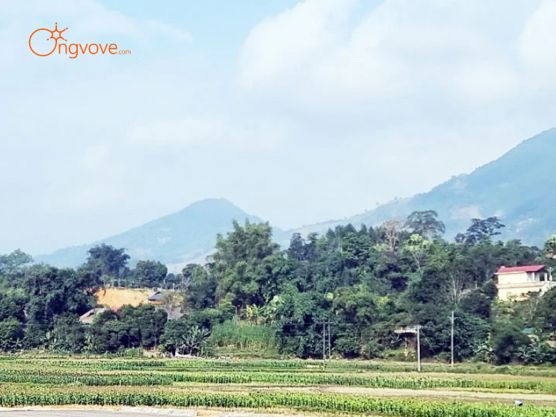 Lợi Ích Khi Thuê Hướng dẫn viên tại Di tích Đồn Dương Quỳ Lào Cai