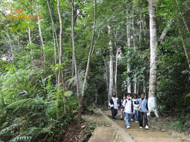 Những Tiêu Chí Cần Lưu Ý Khi Thuê Hướng Dẫn Viên Tại Di Tích Lịch Sử Văn Hóa Căn Cứ Cách Mạng Việt Tiến Lào Cai