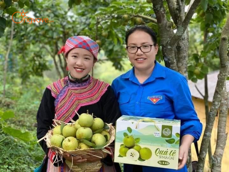 Tại Sao Cần Thuê Hướng dẫn viên tại Các điểm sản xuất đặc sản địa phương Văn Bàn?