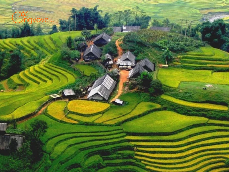 Tại Sao Cần Thuê Hướng dẫn viên tại Thôn Dần Thàng Văn Bàn Lào Cai?