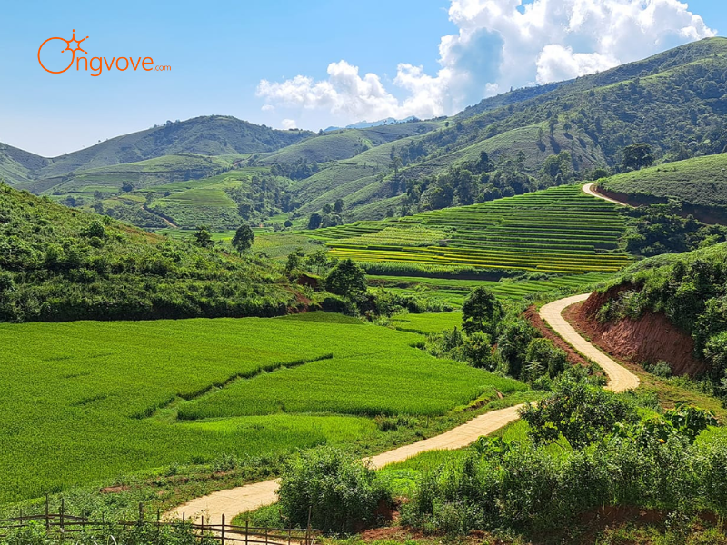 Thuê Hướng dẫn viên tại Dương Quỳ Văn Bàn Lào Cai Trên Nền Tảng Ong Vò Vẽ Travel