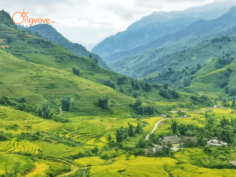 Lợi Ích Khác Khi Thuê Hướng Dẫn Viên Tại Các Khu Rừng Tự Nhiên, Đồi Núi Hoang Sơ Bảo Yên Lào Cai Cùng Ong Vò Vẽ Travel